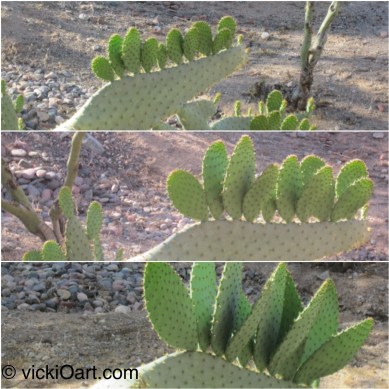 mOther nature's prOOf Of hOpe